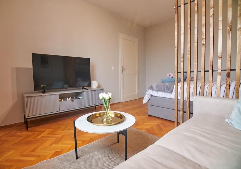 Apartment Bigeste - Free Parking - 2 Minute Walk To The - Superfast Wifi